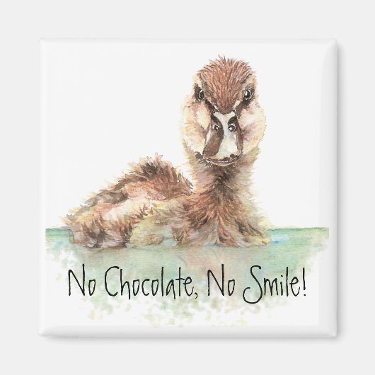 Funny, No Chocolate, No Smile, Angry Duck, Bird Magnet (Vorne)