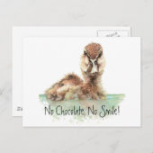 Funny, No Chocolate, No Smile, Angry Duck, Bird Postkarte (Vorne/Hinten)