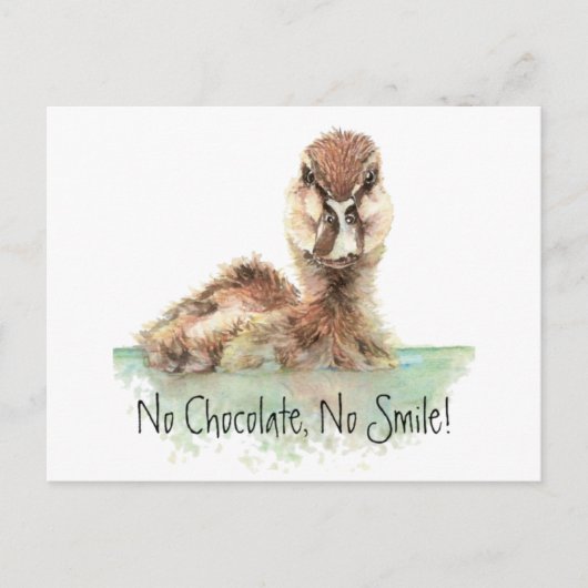 Funny, No Chocolate, No Smile, Angry Duck, Bird Postkarte (Vorderseite)