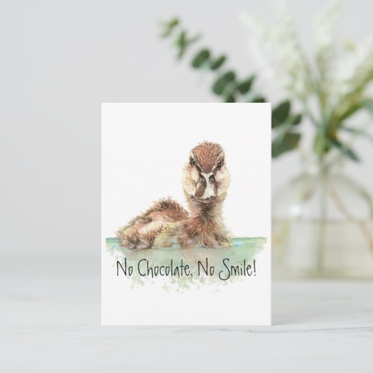 Funny, No Chocolate, No Smile, Angry Duck, Bird Postkarte (Stehend Vorderseite)