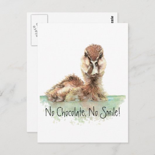 Funny, No Chocolate, No Smile, Angry Duck, Bird Postkarte (Vorne/Hinten)