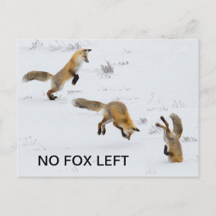 Funny "No Fox Verlassen" Postkarte