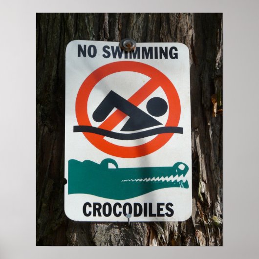 Funny NO SWIMMING Warning Sign Poster (Vorne)