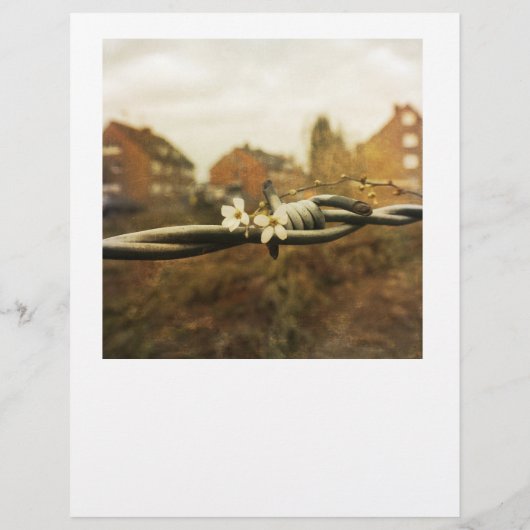 Funny, Nonsense mit Tränentafeln Flyer (Hinten)