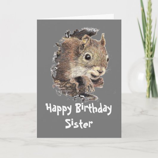 Funny, Nutty Sister Birthday Squirrel Card Karte (Vorderseite)