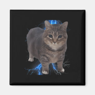 Funny Oiia Oiia Spinning Cat Meme Cat Brainrot Magnet