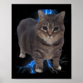 Funny Oiia Oiia Spinning Cat Meme Cat Brainrot Poster (Vorne)