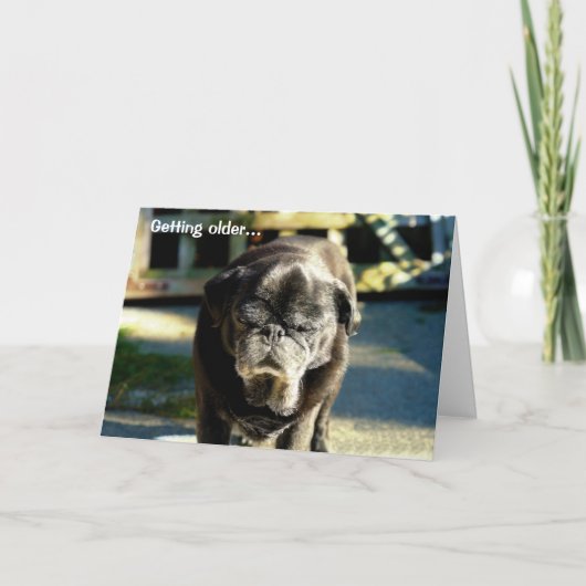 Funny Old Black Möpse Birthday Card Karte (Vorderseite)