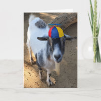 Funny Old Goat Is Still a Kid- Good For You