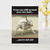 Funny Old Goat kann noch seinen eigenen Hintern kr Karte (Gelbe Blume)