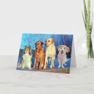 Funny One a Kind Labrador Geburtstag Karte