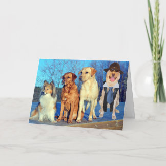 Funny One a Kind Labrador Geburtstag Karte