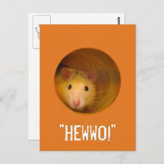 Funny Optical Illusion Rat in Hole Postkarte (Vorne/Hinten)