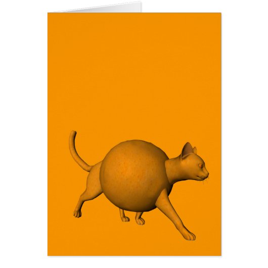 Funny Orange Cat (Vorne)