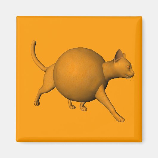 Funny Orange Cat Magnet (Vorne)