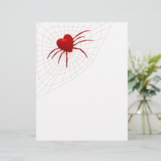 Funny Orb-Weaver Spider (Stehend Vorderseite)