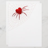 Funny Orb-Weaver Spider (Vorne/Hinten)