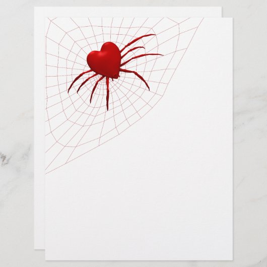 Funny Orb-Weaver Spider (Vorne/Hinten)