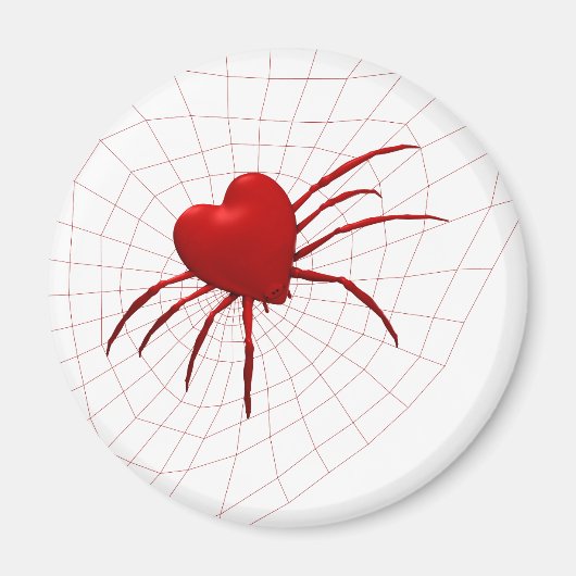Funny Orb-Weaver Spider Magnet (Vorne)