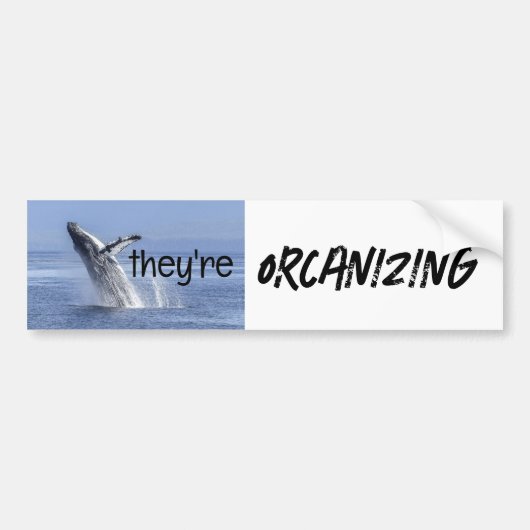 Funny ORCANIZING Orca Killer Whale Meme Joke Autoaufkleber (Vorne)