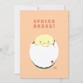 Funny Oster Feiertagskarte (Vorderseite)