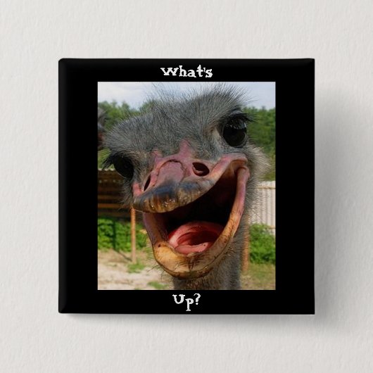Funny Ostrich Bird Foto Was ist los? Button (Vorderseite)