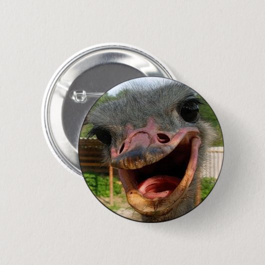 Funny Ostrich Bird Foto Was ist los? Button (Vorne & Hinten)