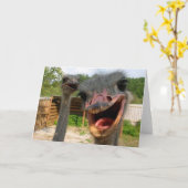 Funny Ostrich Bird Foto Was ist los? Karte (Gelbe Blume)