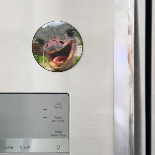 Funny Ostrich Bird Foto Was ist los? Magnet (In Situ (Kühlschrank))