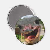 Funny Ostrich Bird Foto Was ist los? Magnet (Vorderseite/Rückseite)