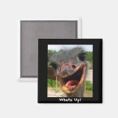 Funny Ostrich Bird Foto Was ist los? Magnet (Vorderseite/Rückseite)