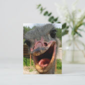 Funny Ostrich Bird Foto Was ist los? Postkarte (Stehend Vorderseite)