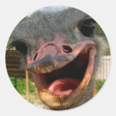 Funny Ostrich Bird Foto Was ist los? Runder Aufkleber (Vorderseite)