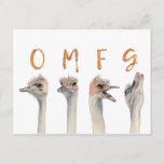 Funny Ostrich Birds OMFG Postkarte<br><div class="desc">Dies ist ein Aquarellbild von Straußen mit sich verändernden Emotionen von der Ruhe zu einer Kernschmelze. Auf jedem Strauß sind Buchstaben,  die "OMFG" in Imitaten mit Goldfolie beschreiben.</div>