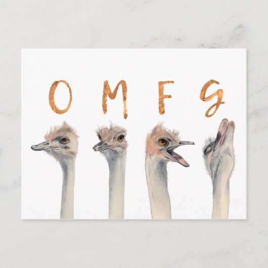 Funny Ostrich Birds OMFG Postkarte (Vorderseite)