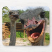 Funny Ostrich Couple Mousepad (Vorne)