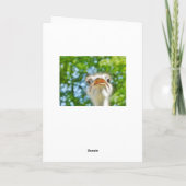 Funny Ostrich - Dankeschön Card Dankeskarte (Rückseite)