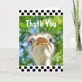 Funny Ostrich - Dankeschön Card Dankeskarte