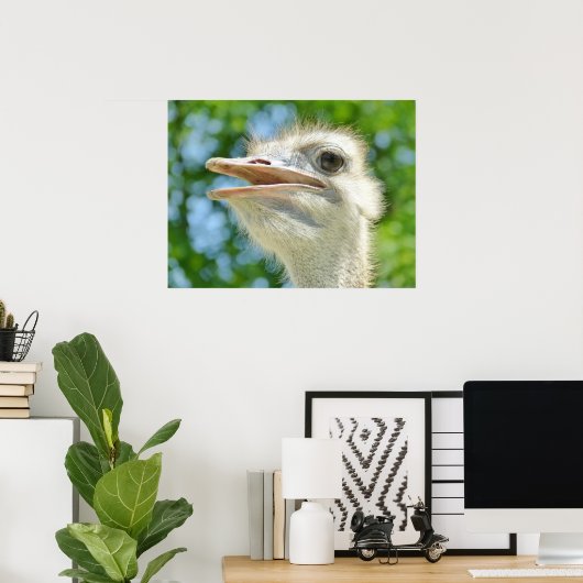 Funny Ostrich Foto Poster (Heimbüro)