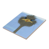 Funny Ostrich George und die Niedliche Ladybug Fliese (Seite)