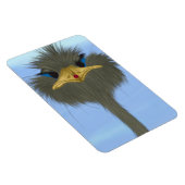 Funny Ostrich George und die Niedliche Ladybug Magnet (Rechte Seite)