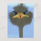 Funny Ostrich George und die Niedliche Ladybug Postkarte (Vorderseite)