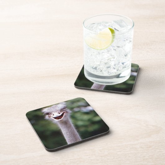 Funny Ostrich Getränkeuntersetzer (Rechte Seite)