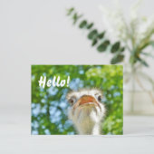 Funny Ostrich - Hallo Postcard Postkarte (Stehend Vorderseite)