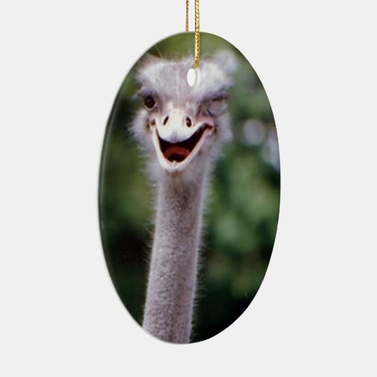 Funny Ostrich Keramikornament (Rechts)