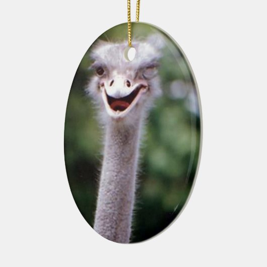 Funny Ostrich Keramikornament (Links)