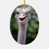 Funny Ostrich Keramikornament (Vorne)