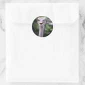 Funny Ostrich Runder Aufkleber (Tasche)