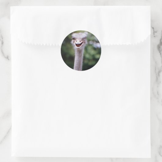 Funny Ostrich Runder Aufkleber (Tasche)