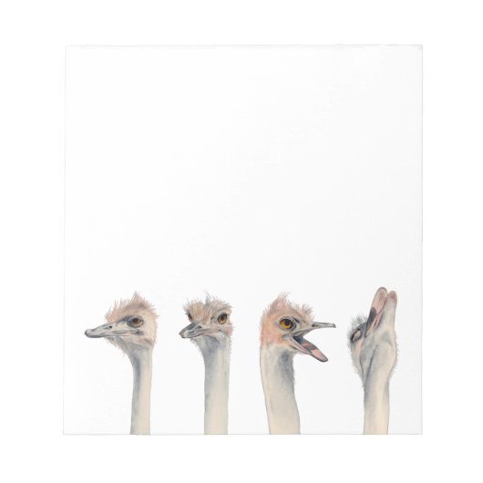 Funny Ostriches Aquarellbild Notizblock (Vorderseite)